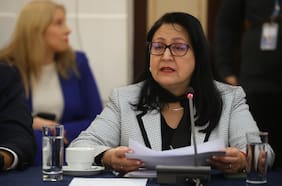 Dorothy Pérez descarta que filtración de preinforme en caso de niños haitianos provenga del organismo
