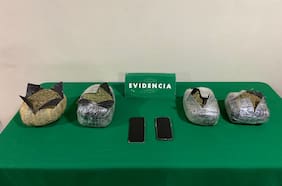 Puerto Varas: Carabineros decomisa más de $20 millones en droga y detiene a dos menores
