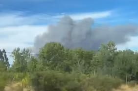 Incendio forestal en Cauquenes: piden evacuar sectores San Pedro, Pedernales, Lote Vistas de Caliboro y Mirador el Caliboro