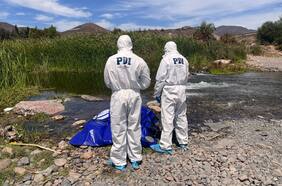 PDI descarta intervención de terceros en cadáver hallado en ribera de río Limarí
