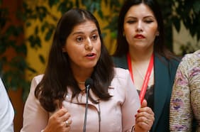 Diputada Medina (PDG) pide al gobierno que se cree una cárcel de alta seguridad en Isla Mocha: “Ayudará a combatir el crimen organizado y el narcotráfico”