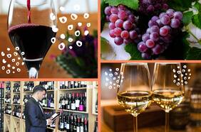 Exportaciones de vino superaron las expectativas y cierran con leves caídas en el año de la pandemia