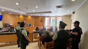 Desarticulan banda que robó en dos ocasiones cultivo legal de Cannabis sativa en Pelarco: formalizan a sus 12 miembros