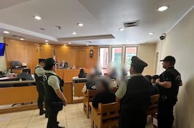 Desarticulan banda que robó dos veces cultivo legal de Cannabis sativa en Pelarco: formalizan a sus 12 miembros