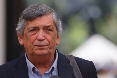 Carmona por candidatura de Pamela Jiles: “Los votos del partido están comprometidos por la bancada”