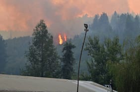 Incendios en Ñuble y Biobío podrían generar más de US$120 millones en daños agrícolas