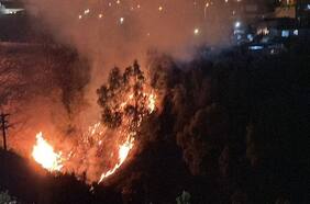 Incendio forestal amenaza a viviendas en cerro Placeres de Valparaíso
