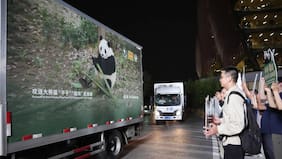 Los pandas gigantes Ping Ping y Fu Shuang llegan al Zoológico de Atlanta bajo un nuevo acuerdo de préstamo entre EE.UU. y China