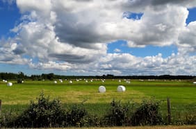 El futuro sustentable del plástico nacional