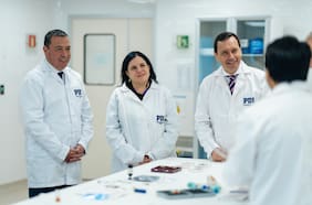 Ausencia de Steinert en el Senado irrita al oficialismo y profundiza críticas por su despliegue en seguridad