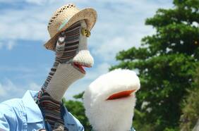 Un ciclo de cine inclusivo y gratuito en el emblemático Palacio Pereira