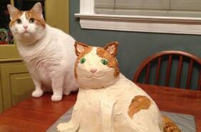 Las críticas contra PETA por su foto grotesca ante los memes de que todo es un pastel