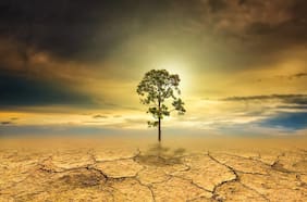 Día Mundial del Medio Ambiente y la acción climática global