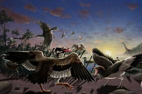 El rasgo inusual en dinosaurios: el antiguo pájaro con ‘barbilla móvil’ que recorrió China hace 120 millones de años