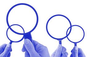 ¿Qué dicen los expertos? La Convención Constitucional bajo la lupa de los observadores internacionales