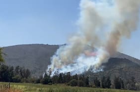 Reportan incendio forestal con rápido avance en Casablanca