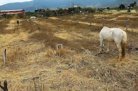 Territorio al servicio