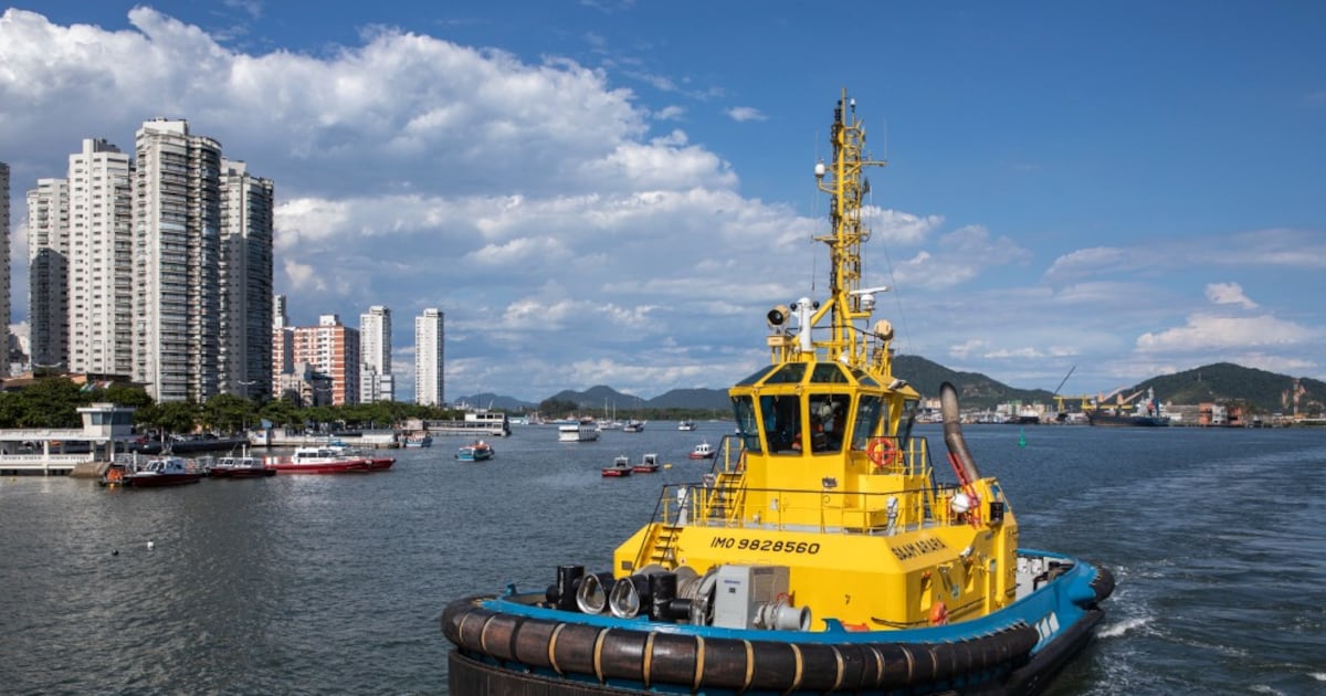 Ganancias récord en el sector minero y logístico: ¿qué revela el auge de las empresas ligadas al grupo Luksic?