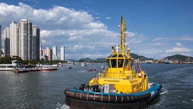 Ganancias de SAAM del grupo Luksic se disparan en medio del aumento de ingresos de sus principales líneas de negocios