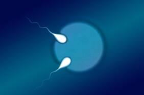 Columna del Dr. Ricardo Pommer: Congelación de óvulos como un derecho reproductivo