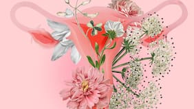 Menopausia explicada para hombres: mitos, verdades y consejos para acompañar a las mujeres en este período