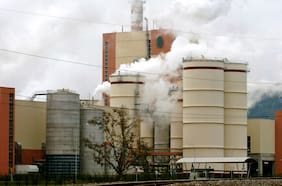 Caída en los precios de la celulosa por crisis del coronavirus golpea los resultados de forestal Arauco