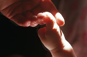 Encuesta: casi la mitad de las mujeres tomó la decisión de no tener o tener menos hijos para priorizar su carrera profesional