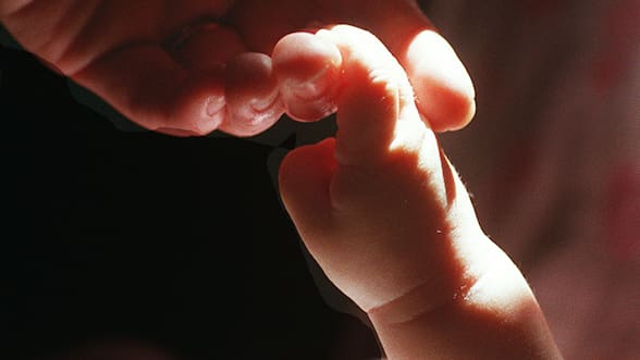 Encuesta: casi la mitad de las mujeres tomó la decisión de no tener o tener menos hijos para priorizar su carrera profesional