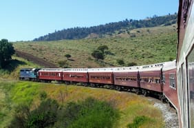 Tren del Recuerdo tiene viajes ideales para paser en el Día del Padre