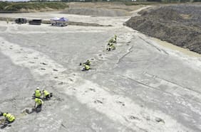 Científicos descubren una verdadera “autopista” de dinosaurios
