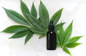 CBD: qué es, para qué sirve y por qué no es llegar y comprarlo en Chile