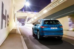 El oso más grande de Škoda, a punto de ser liberado