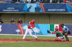 Santiago 2023 denuncia insólito robo de pasto de las canchas de béisbol en Cerrillos