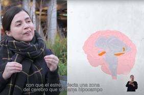 La webserie que explica cómo funciona el cerebro