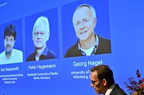 Dos alemanes y un estadounidense se llevan el Nobel de Medicina por avances en optogenética