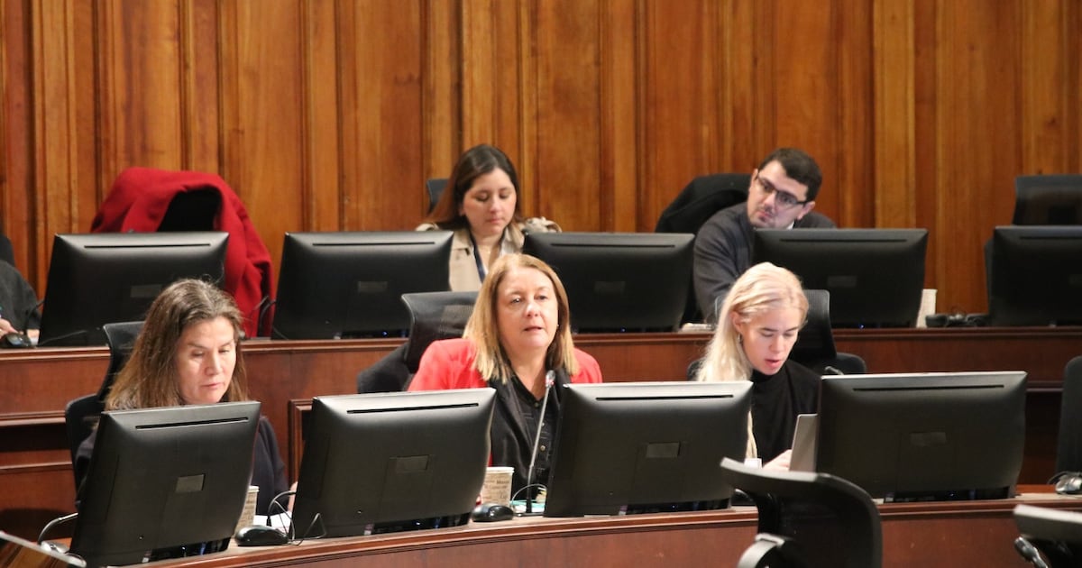 Senado avanza en regulación de apuestas en línea: Un tira y afloja entre control estatal y mercado liberalizado