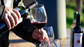 Guía del ocio: panoramas escogidos para el fin de semana del 10 y 11 de enero