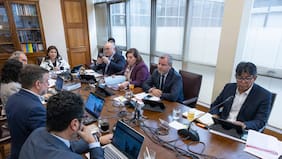 Reforma política de Elizalde: quiénes serán los integrantes de la comisión mixta que desatará los últimos nudos