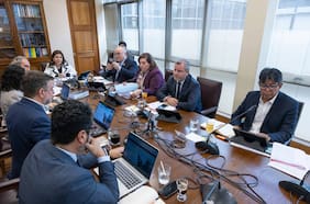 Reforma política de Elizalde: quiénes serán los integrantes de la comisión mixta que desatará los últimos nudos