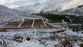Luces y sombras del agro postemporal: El norte embarrado, el centro inquieto y el sur más favorecido