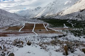 Luces y sombras del agro postemporal: El norte embarrado, el centro inquieto y el sur más favorecido