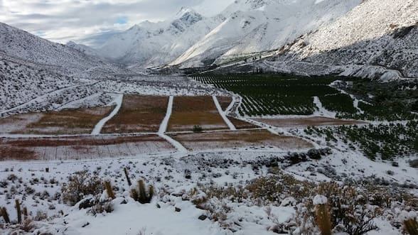 Luces y sombras del agro postemporal: El norte embarrado, el centro inquieto y el sur más favorecido