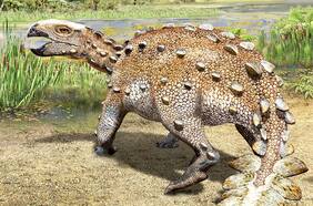 ¿Por qué Chile es considerado la “pieza faltante” de la paleontología mundial?