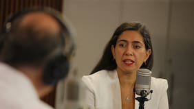 Karina Delfino dice estar “alerta” con recorte fiscal e iniciativas en gobierno de Kast que podrían “afectar” a los municipios