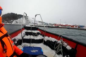 La bitácora del doctor Höfer: Día 49, luchando contra el tiempo