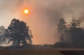 Capturan a joven de 19 años por incendio forestal en Pitrufquén: siniestro motivó evacuaciones