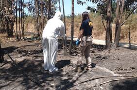 Denuncias de intencionalidad en incendios de La Araucanía