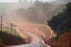 Brasil tala árboles en el Amazonas para construir carretera hacia la sede de la COP 30