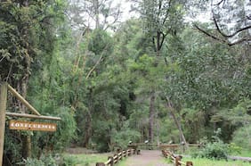 Conaf anuncia cierre temporal de áreas protegidas por lluvia en varias regiones