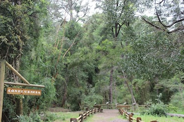 Conaf anuncia cierre temporal de áreas protegidas por lluvia en varias regiones